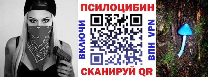 Псилоцибиновые грибы Psilocybine cubensis  Иннополис 